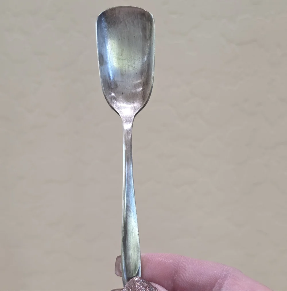 Vintage Meridian Silverplate Co FIRST LADY Serving Spoon Shovel and Fork Set